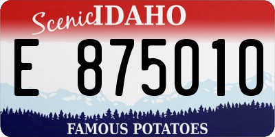 ID license plate E875010