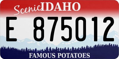 ID license plate E875012