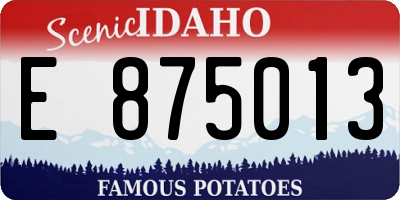 ID license plate E875013