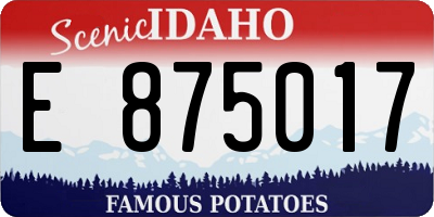 ID license plate E875017