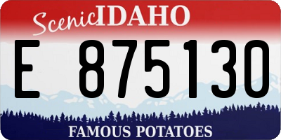 ID license plate E875130