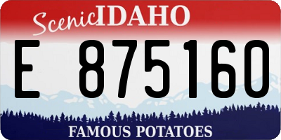ID license plate E875160
