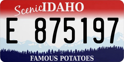ID license plate E875197
