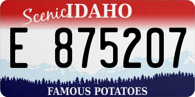 ID license plate E875207