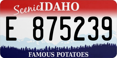 ID license plate E875239