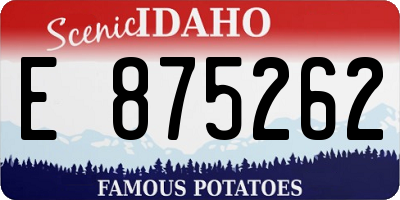 ID license plate E875262