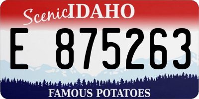 ID license plate E875263