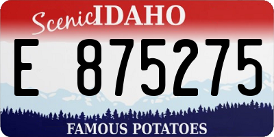 ID license plate E875275