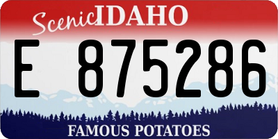 ID license plate E875286
