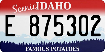 ID license plate E875302