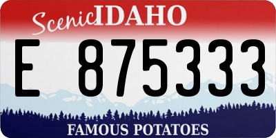 ID license plate E875333