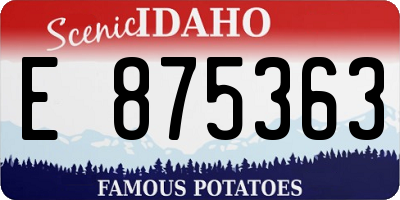 ID license plate E875363