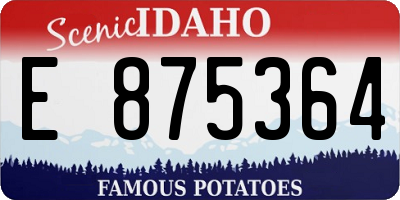 ID license plate E875364