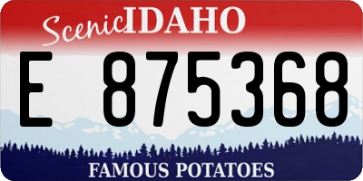 ID license plate E875368