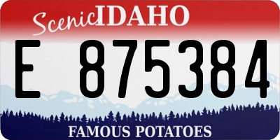ID license plate E875384
