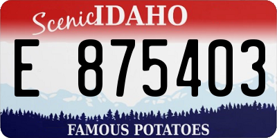 ID license plate E875403