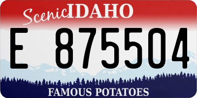 ID license plate E875504