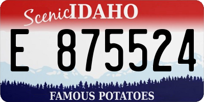 ID license plate E875524