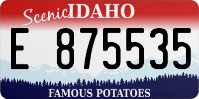 ID license plate E875535