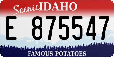ID license plate E875547