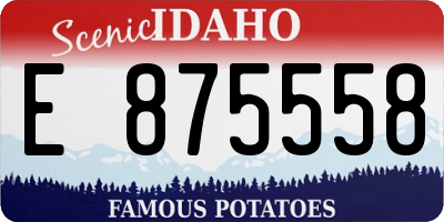 ID license plate E875558