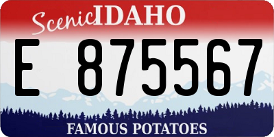 ID license plate E875567