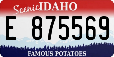 ID license plate E875569