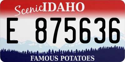 ID license plate E875636
