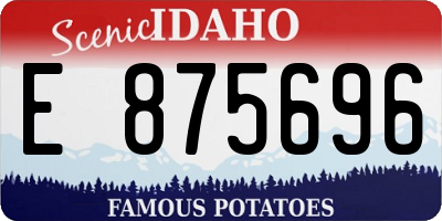 ID license plate E875696
