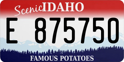ID license plate E875750