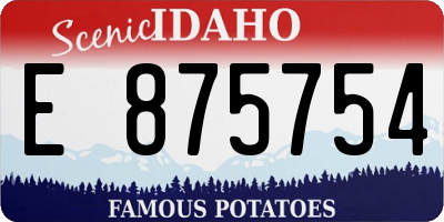 ID license plate E875754