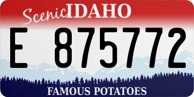 ID license plate E875772