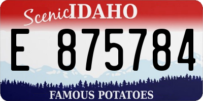 ID license plate E875784