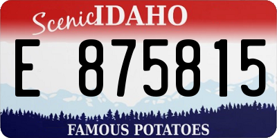 ID license plate E875815