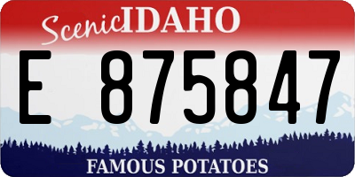 ID license plate E875847