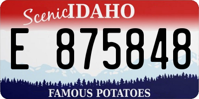 ID license plate E875848