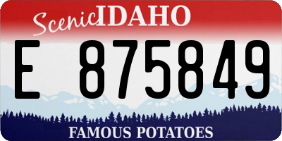 ID license plate E875849