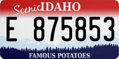 ID license plate E875853