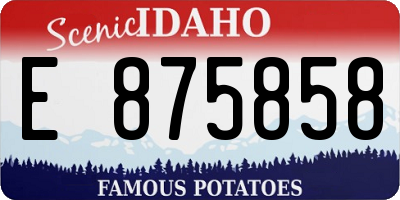 ID license plate E875858