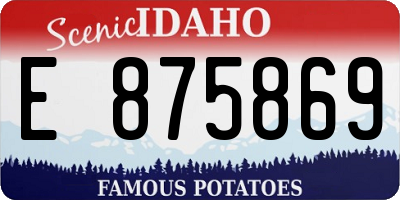 ID license plate E875869