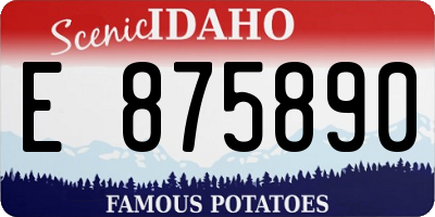 ID license plate E875890
