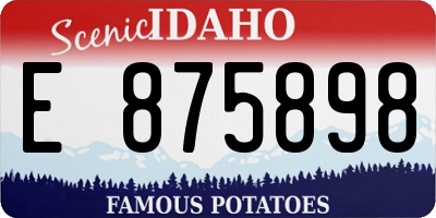 ID license plate E875898