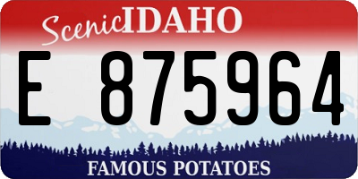 ID license plate E875964