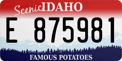 ID license plate E875981
