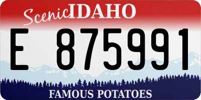 ID license plate E875991