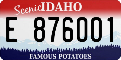 ID license plate E876001