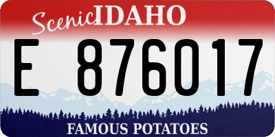 ID license plate E876017