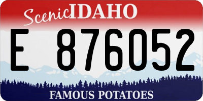 ID license plate E876052