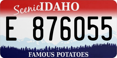 ID license plate E876055
