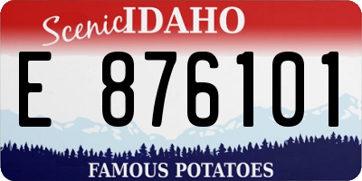 ID license plate E876101